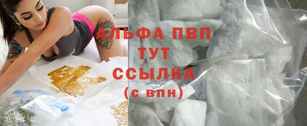гидра Заводоуковск