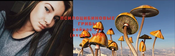 гидра Заводоуковск