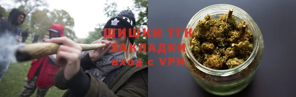 PSILOCYBIN Елабуга