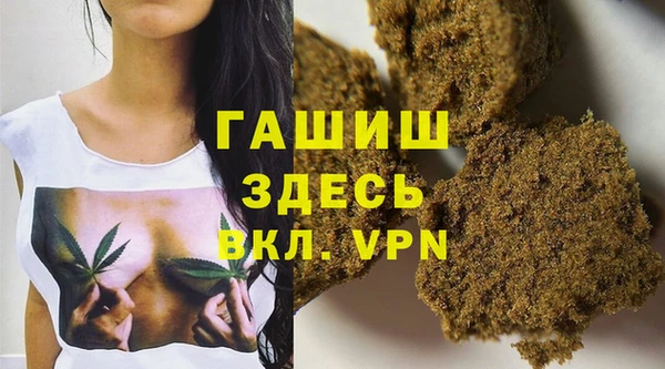 гидра Заводоуковск