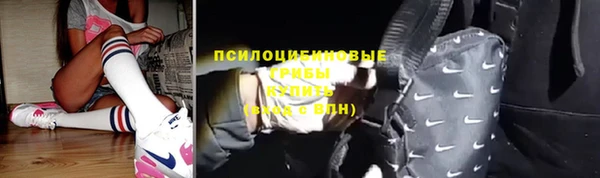 ПСИЛОЦИБИНОВЫЕ ГРИБЫ Заволжск