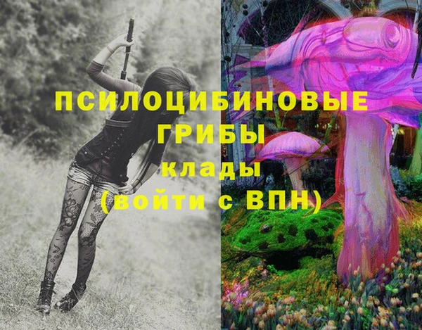 PSILOCYBIN Елабуга