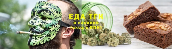 гидра Заводоуковск