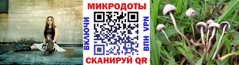 Галлюциногенные грибы мицелий  Купить  Заозёрный 